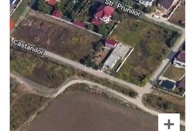 Casă cu 1 camere cu Teren 500 Mp în Măgurele - 3