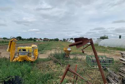 Casă cu 6 camere în Belinț - 7