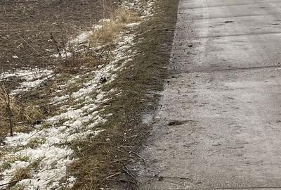 Spațiu comercial, în Satu Mare - 4