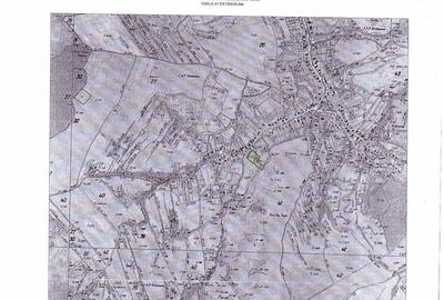 Teren de 70000 mp, în Sântejude - 8