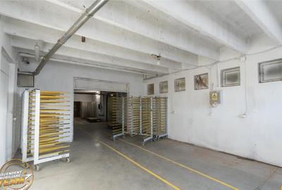 Spațiu comercial, de 1,341 mp, în Valea Crișului - 1