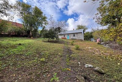 CASA SI TEREN 4.000 MP | SAT TRIA | COMUNA DERNA | JUDETUL BIHOR - 1