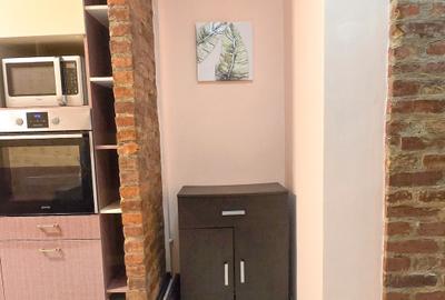 Garsoniera Brasovul Vechi - 10