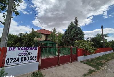 Casă cu 7 camere cu Teren 1600 Mp în Tămădău Mare - 3