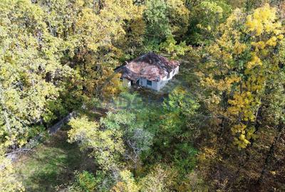 Teren Construcții intravilan de 7000 mp, în Vărbila - 2