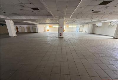 Ultracentral - Magazin Luceafarul - etajul 3 (integral) - 2