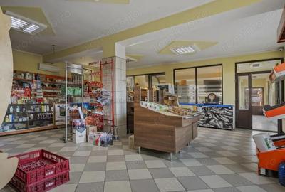 COMISION 0% | 2 Case cu Spatiu Comercial | Teren 1019mp | 540 eur/mp - 21