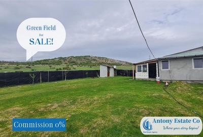 Green Field - casa de , 10 KM de Oradea, Betfia, Bihor - 19