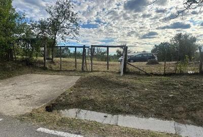 Teren de 1190 mp, în Soceni - 4