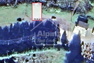 Teren de 3000 mp, în Poiana Angelescu - 9