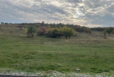 Spațiu comercial, în Căzănești - 5