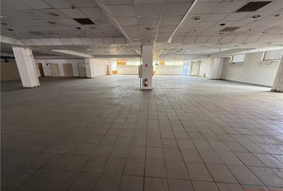 Ultracentral - Magazin Luceafarul - etajul 3 (integral) - 28