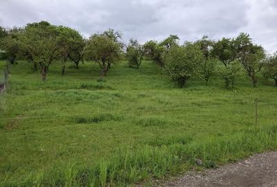 Teren de 1150 mp, în Mihai Viteazu - 4