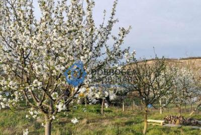 ZONA C.A.P.-TEREN INTRAVILAN ,608MP - 2