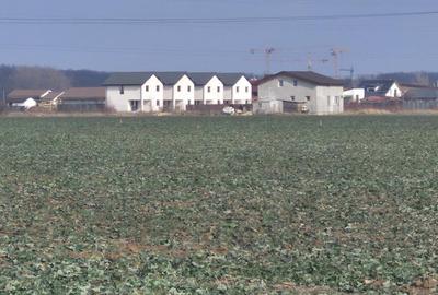 Teren intravilan Balotesti,langa ansamblul Terra si padure, 17000 euro - 5