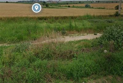 Teren de 5000 mp, în Sud