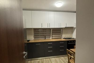 Inchiriere apartament 2 camere Dimitrie Leonida - 4