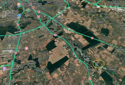 Teren agricol intravilan de 62000 mp, în Crevedia - 12