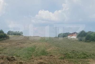 Spațiu comercial, în Preajba - 3