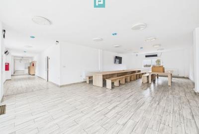 Teren 9.419 mp + hale 7.000 mp – Huși, Vaslui - 7