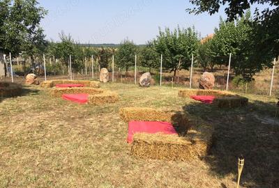 Inchiriez magazin alimentar si bar in loc. Sarbova-Timis - 9