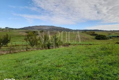 Spațiu comercial, în Central