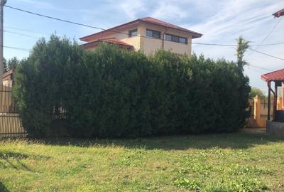 Casa de vanzare 4 dormitoare, living, 2 bai, bucatarie etc  Chiajna Casa de vanzare 4 dormitoare, living, 2 bai, bucatarie etc  Chiajna - 18