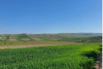 Cota de 1/2 din teren extravilan, comuna Rogova, Jud Mehe... - 4