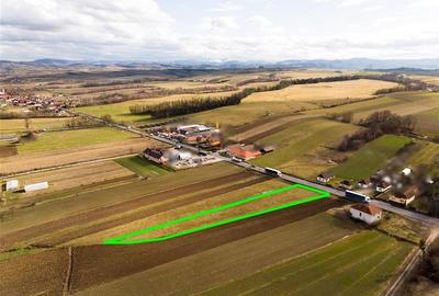 Teren Construcții intravilan de 2900 mp, în Borod - 5