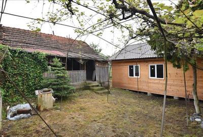 Casă individuală cu 2 camere cu Teren 3132 Mp în Almașu Mic (Balc) - 3