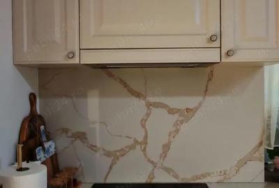 Casă cu 3 camere cu Teren 549 Mp în Podgoria - 14