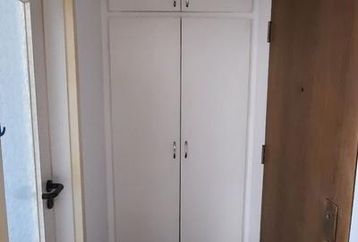 Apartament cu 2 camere semidecomandat, mobilat în Aradului - 10