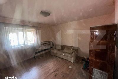 Casă cu 7 camere cu Teren 2500 Mp în Rapoltu Mare - 4