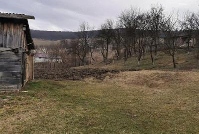 Casă cu Teren 2800 Mp în Petea - 3
