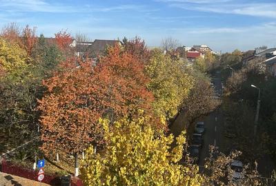 Apartament cu 3 camere decomandat în Frumoasa - 3