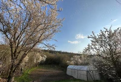 Teren de 1323 mp, în Vârvor - 1