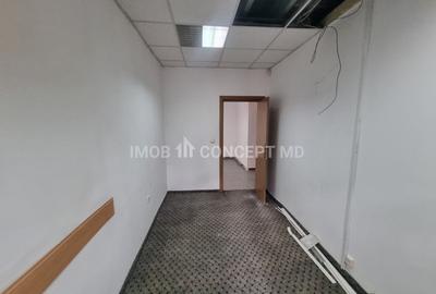 Vanzare Cladire comerciala si de birouri in zona Cina- Andrei Muresanu - 5