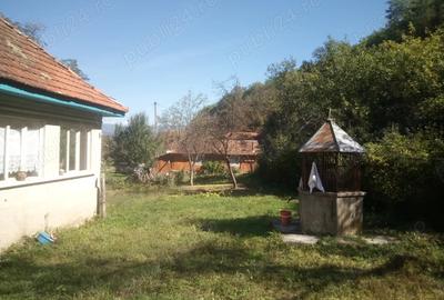 Casă cu 3 camere în Hălmagiu - 3