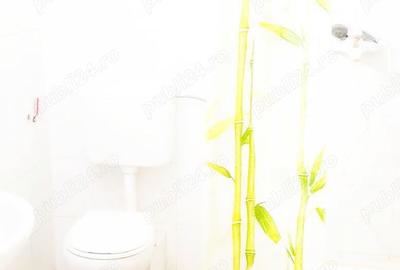 Casă cu 6 camere în Elisabetin - 15