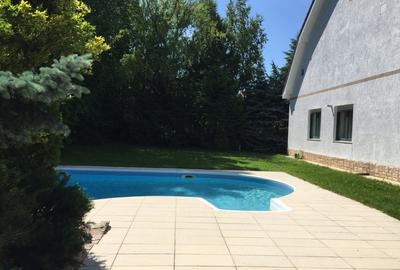Casă individuală cu 6 camere cu Piscina în Iancu Nicolae - 2