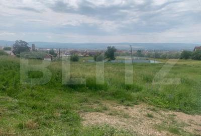 Teren de 1206 mp, în Cetate - 2