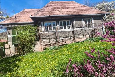 Casă cu 3 camere în Poiana Galdei - 2