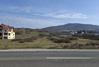 Teren de 14500 mp, în Exterior Vest - 2