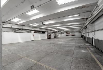 4.049 mp Hale industriale in Arad, aproape de A1 - 15