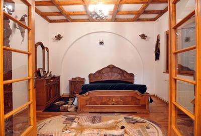 Vila de pe cărțile poștale - 20