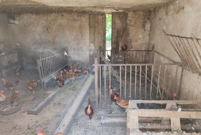 Casa 3 camere libera la vanzare TARLUNGENI - 19