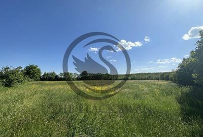 Teren Vanzare 11.000 MP Ghirdoveni | Comision 0% - 10