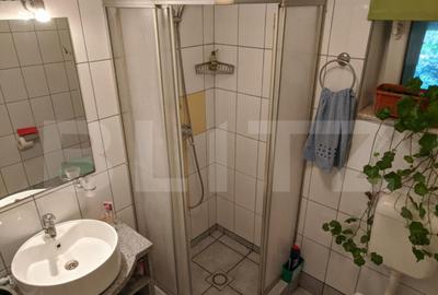 Casa 5 camere, 170mp, 1200mp Teren, Dorobantu - 14