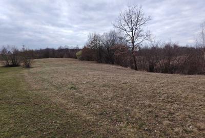 Teren de 4000 mp, în Șinca - 1