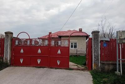 Casă cu 3 camere cu Teren 5000 Mp în Galicea - 3